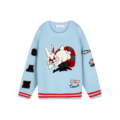 Coach X White Rabbit FW22 Синий Женские кашемировые свитеры