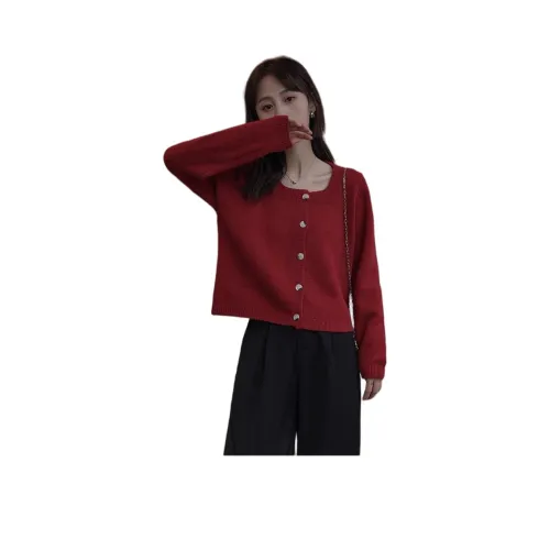 ENEESSI 2024 Осенний Трикотаж Свободный крой Женский