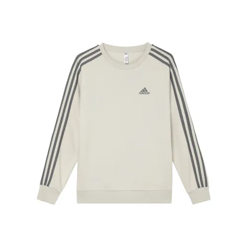 Adidas Толстовка Женская Боксит Коричневый