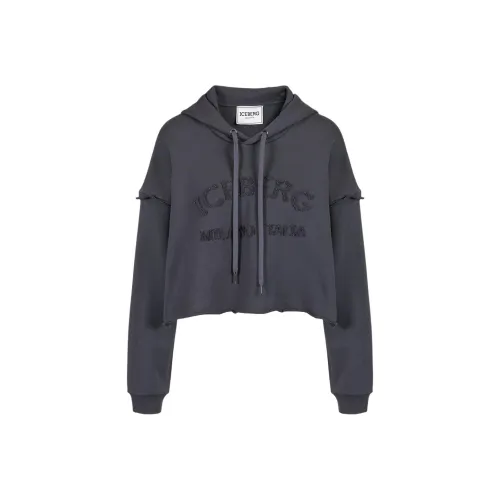 Айсберг Толстовка Женская Серого цвета