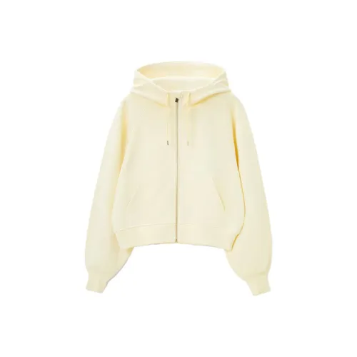 OVV Светло-желтый A2 Женские Свитшоты