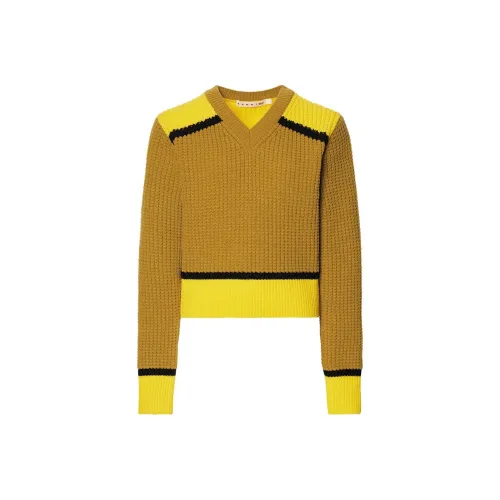 UNIQLO Трикотаж Женский Темно-Бежевый