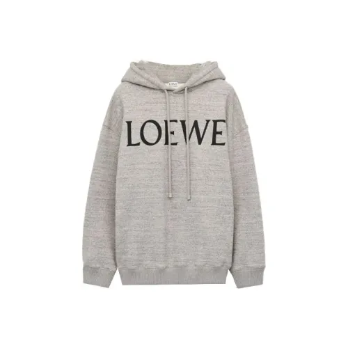 LOEWE Толстовка Женская Фотиния Серый