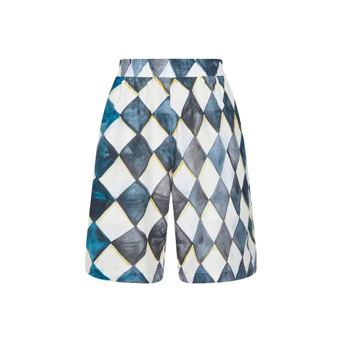 CROQUIS 482 Синий/Серый Комбинация Мужские Повседневные Шорты