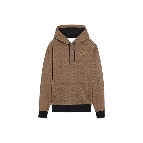 COACH Коричневые Женские Толстовки