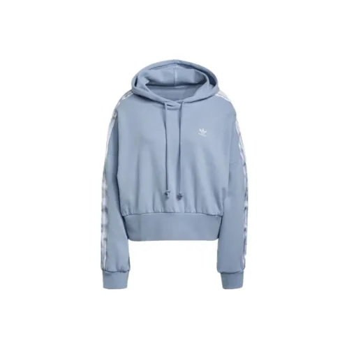 Adidas Небесно-голубой Женские Свитшоты