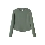 Сосновый морозный зелёный