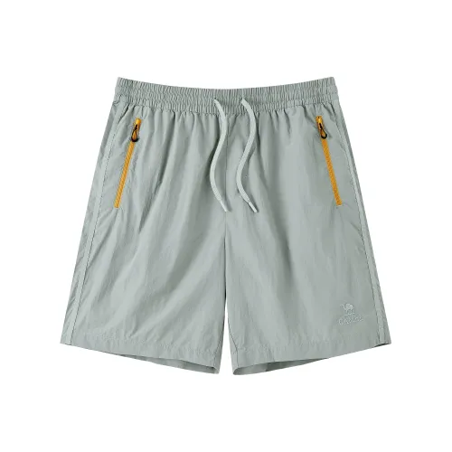 CAMEL Унисекс Повседневные шорты