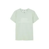 Лилия Зеленая/0215