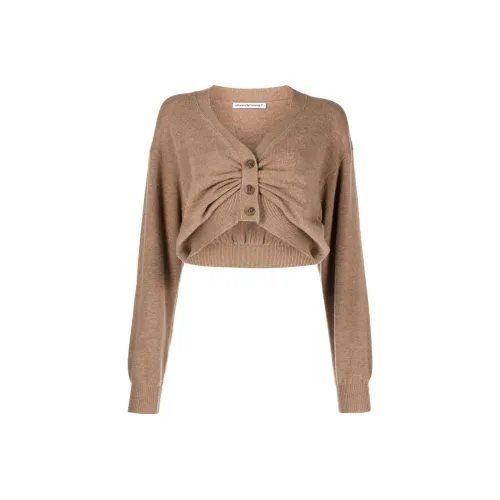 Alexander Wang Трикотаж Женский Охра Умбра