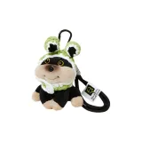 Зеленая лягушка с большими глазами