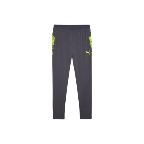 PUMA IndividualCUPFootball Брюки Футбол Низ Мужской Galaxy Gray