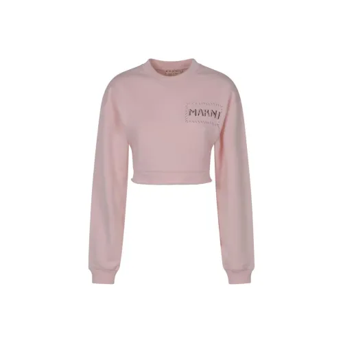 MARNI Розовые Женские Свитшоты