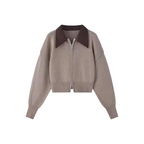 CacheCache Женские Трикотажные изделия