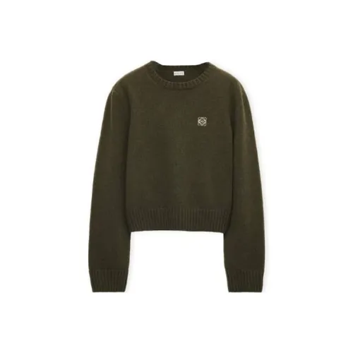 LOEWE Зеленые Женские Кашемировые Свитеры