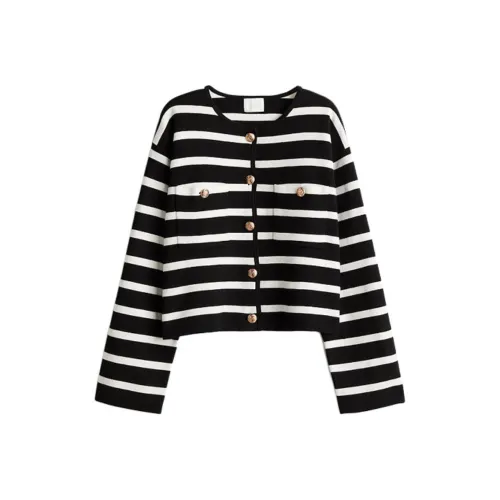 H&M Черные полосы Женские Трикотаж