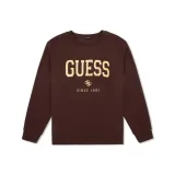 BRN-Коричневый