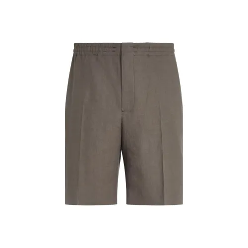 Ermenegildo Zegna Тауповые Мужские Повседневные Шорты
