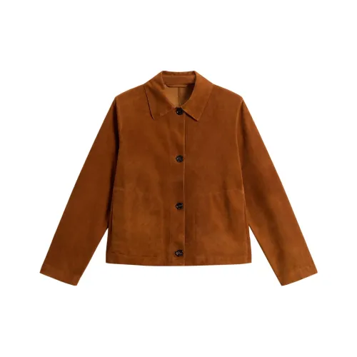 WOOLRICH Темно-кофейные Женские Куртки