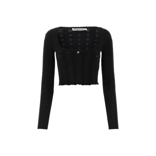alexander wang Черные Женские Рубашки