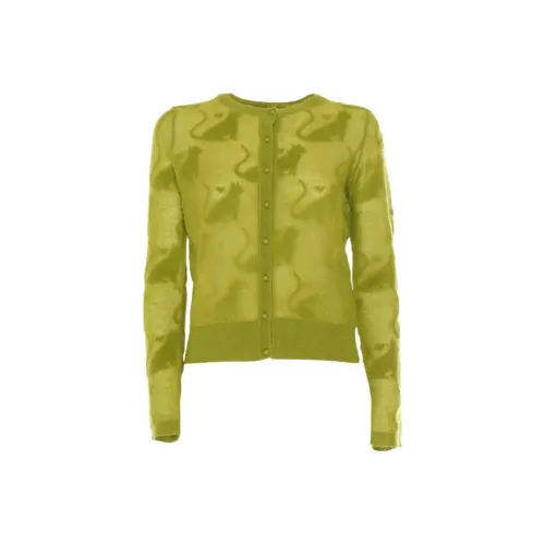 MaxMara Studio Трикотаж Женский Зеленый