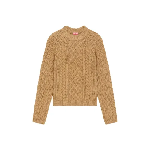 KENZO FW22 Свитер Женский Коричневый