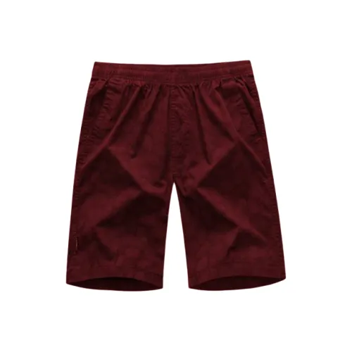 PIERRE CARDIN Повседневные шорты Мужские