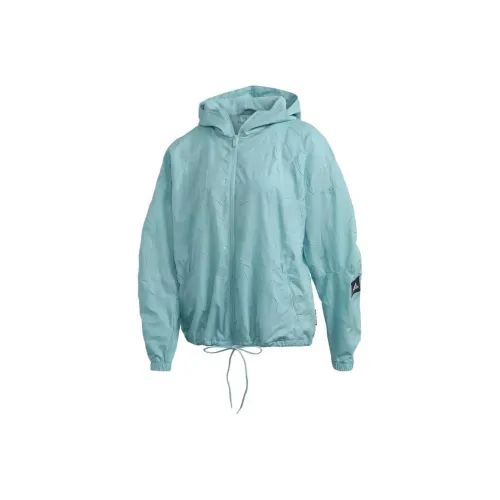 Adidas Spirit W.N.D PRIMEBLUE Мультиспорт Куртка Женская Синяя