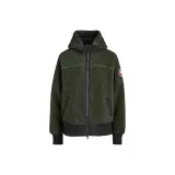 Тёмно-серый зелёный