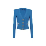 Железный синий