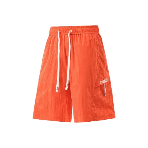 ZNTN Унисекс Повседневные шорты