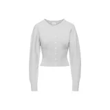 Светло-серый / Фотиния светлый серый