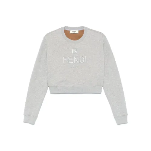 FENDI FW24 Толстовка Женская Серого цвета