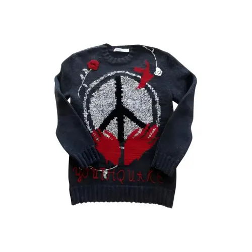 DIOR Толстовка Женская Темно-Серый