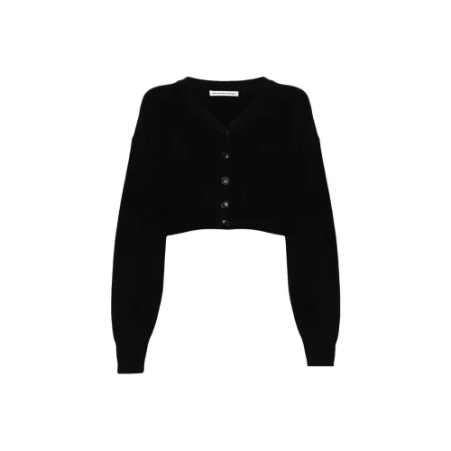 Alexander Wang Трикотаж Женский Черный