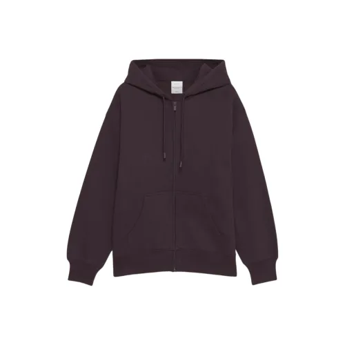 ARITZIA Sweatfleece Cozy Флис Boyfriend Zip Толстовка Толстовка Женские Noble Благородный пурпурный