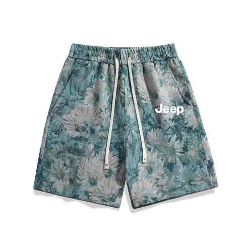 JEEP Унисекс Повседневные шорты
