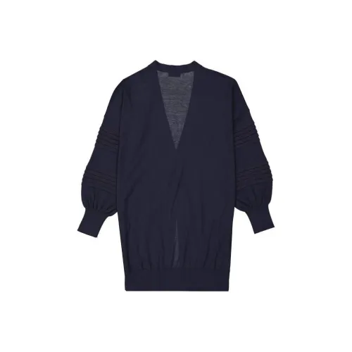 Brunello Cucinelli Синий Женский Трикотаж