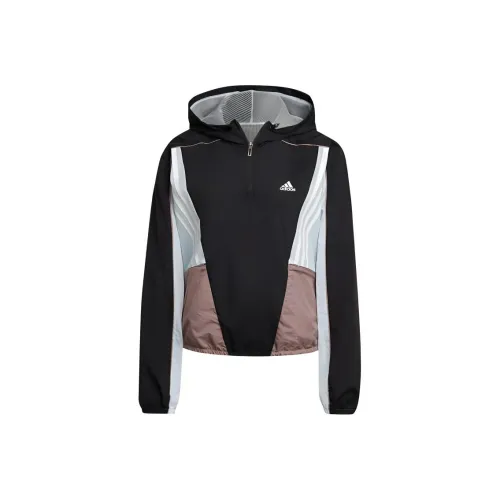 Adidas Черные Женские Свитшоты