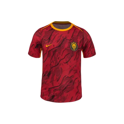 Nike FCNWSL Футбол Джерси Мужской Бордовый Вино