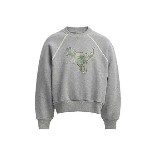 COACH Серые Женские Толстовки