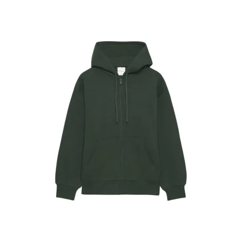 ARITZIA Sweatfleece Cozy Флис Boyfriend Zip Толстовка Толстовка Женские Скарабей Sacred Beetle Цвет