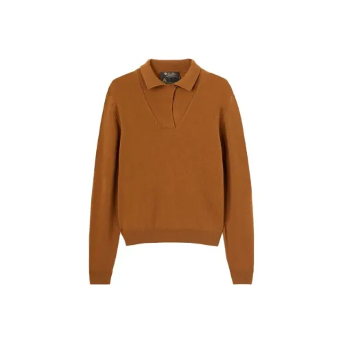 Loro Piana Темно-кофейные Женские Поло