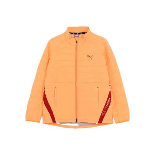 PUMA PF Оранжевый Мужская Гольф Одежда