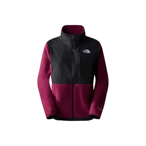 THE NORTH FACE DENALI Fleece Одежда Женская Фуксия