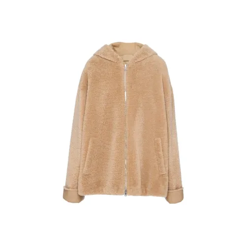 PRADA FW23 Куртки и пальто женские хаки