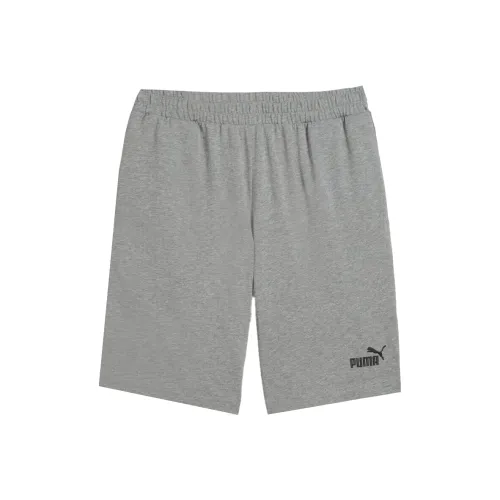 PUMA Серые Мужские Повседневные Шорты