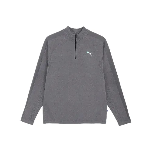 PUMA PF Golf Одежда Мужская Серого цвета