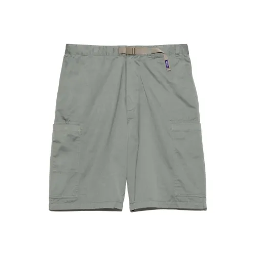 THE NORTH FACE PURPLE LABEL SS25 Повседневные шорты Унисекс Шалфейно-зеленый
