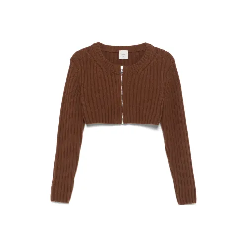 Alysi SS24 Трикотаж Женский Коричневый